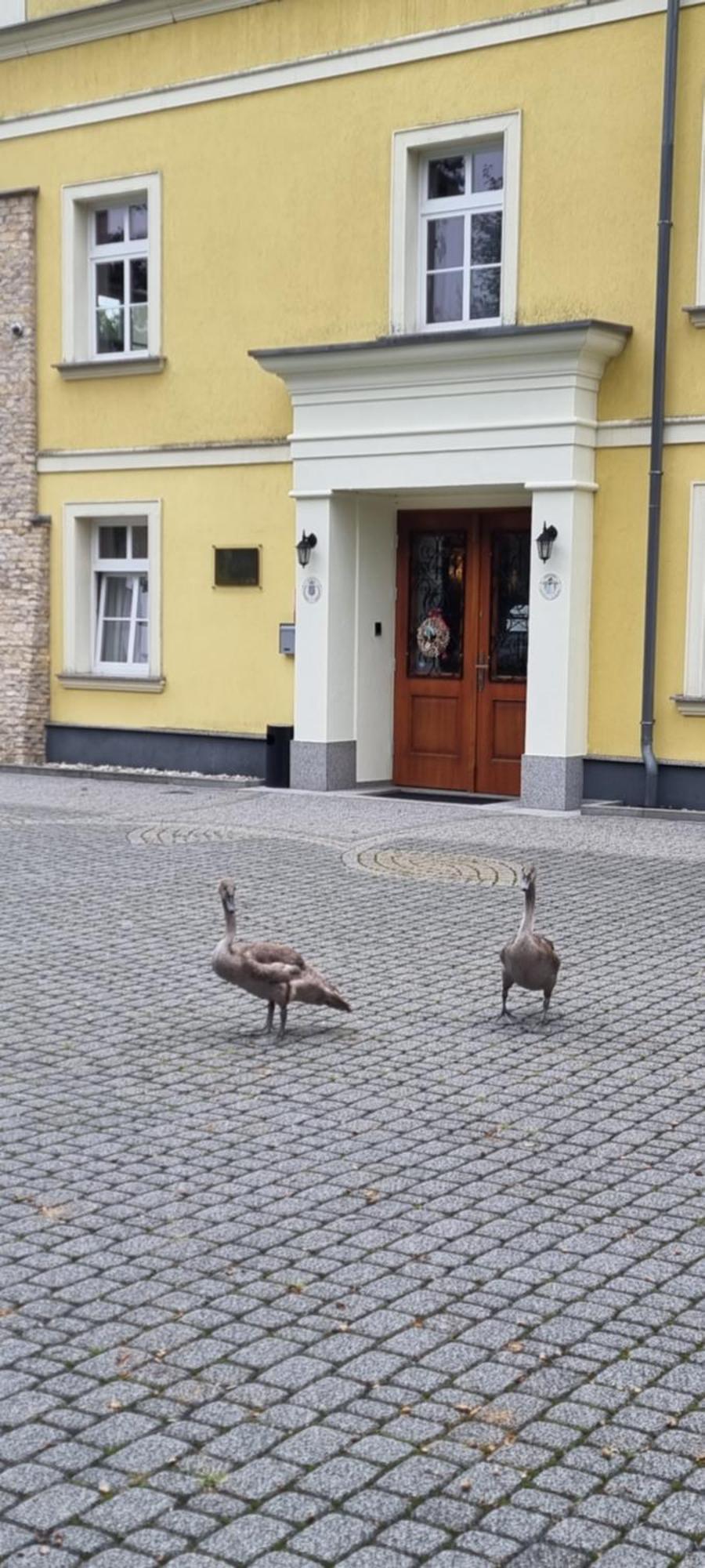 Palac Lucja Bb Zakrzów Eksteriør billede